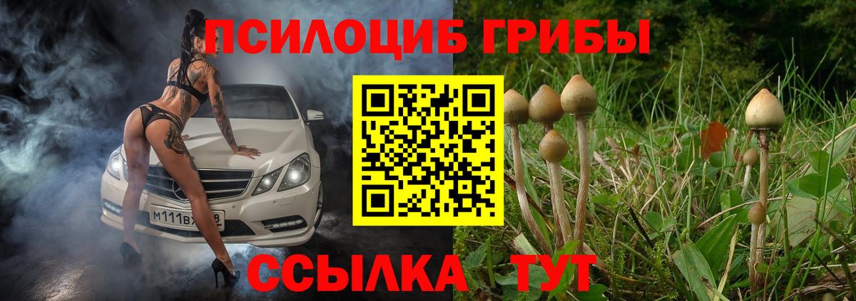 купить наркоту  Вход с VPN  Кирово-Чепецк  Галлюциногенные грибы мухоморы 